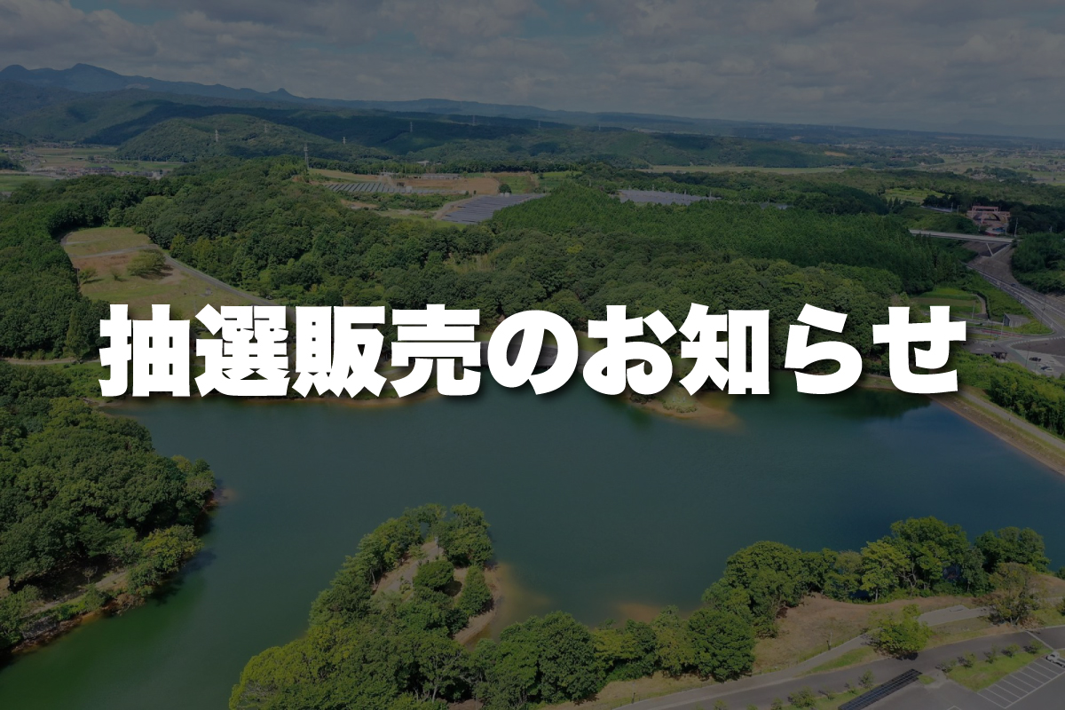 抽選販売のお知らせ